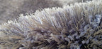 HI-Homes Gray Shaded Silk Touch Shaggy Carpet | Soft Microfiber & Polyester Rug | Handmade Rug