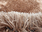 HI-Homes Sour Beige Shaded Silk Touch Shaggy Carpet | Soft Microfiber & Polyester Rug | Handmade Rug
